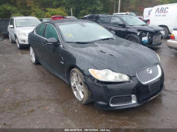  Salvage Jaguar XF