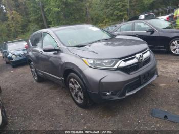  Salvage Honda CR-V