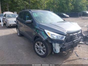  Salvage Ford Escape