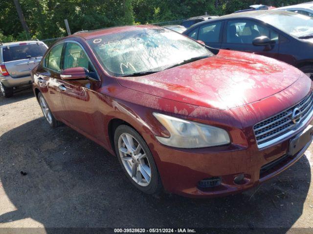  Salvage Nissan Maxima