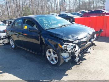  Salvage Toyota Corolla