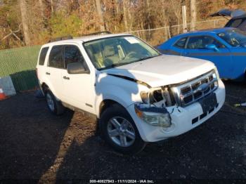  Salvage Ford Escape