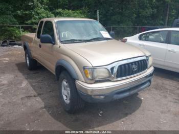  Salvage Toyota Tacoma