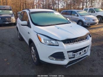  Salvage Ford Escape