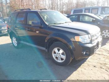  Salvage Ford Escape