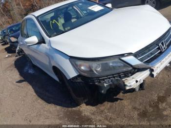  Salvage Honda Accord