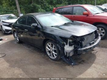  Salvage Nissan Maxima