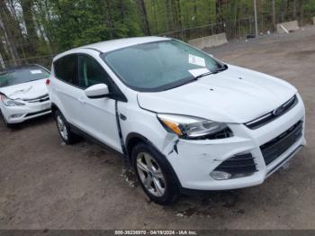  Salvage Ford Escape