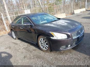  Salvage Nissan Maxima