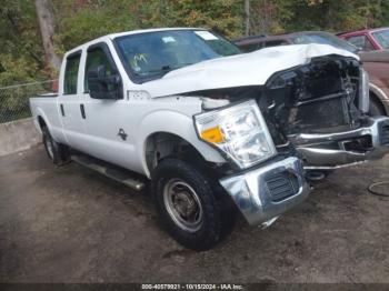  Salvage Ford F-250