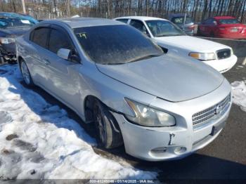  Salvage Nissan Maxima