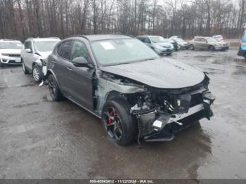  Salvage Alfa Romeo Stelvio