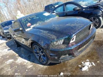  Salvage Ford Mustang