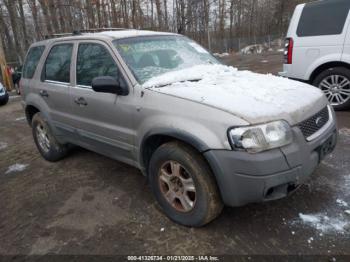  Salvage Ford Escape