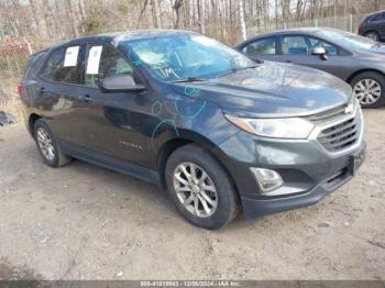  Salvage Chevrolet Equinox