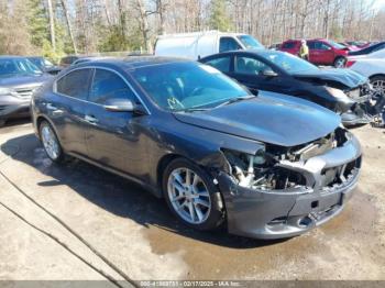  Salvage Nissan Maxima