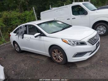  Salvage Hyundai SONATA