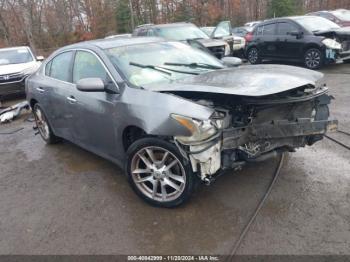  Salvage Nissan Maxima