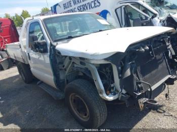  Salvage Ford F-250