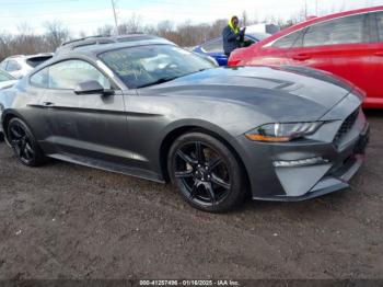  Salvage Ford Mustang