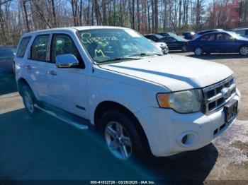  Salvage Ford Escape