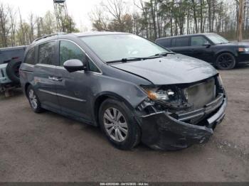  Salvage Honda Odyssey
