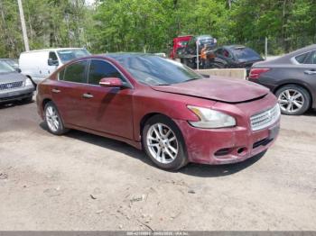  Salvage Nissan Maxima