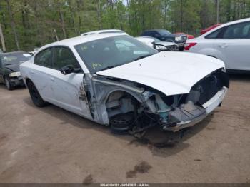  Salvage Dodge Charger