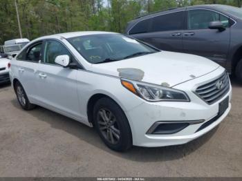  Salvage Hyundai SONATA
