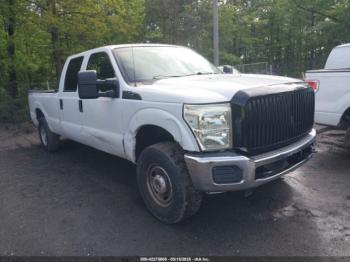  Salvage Ford F-250