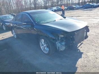  Salvage Nissan Maxima