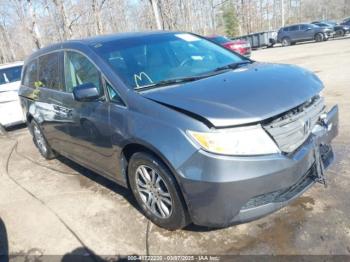  Salvage Honda Odyssey