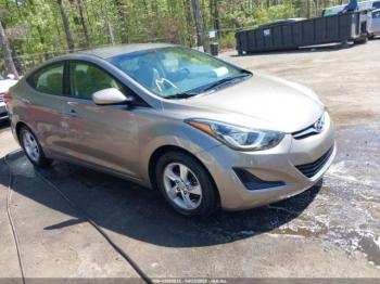  Salvage Hyundai ELANTRA