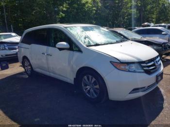  Salvage Honda Odyssey