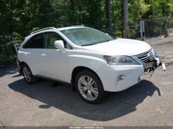  Salvage Lexus RX