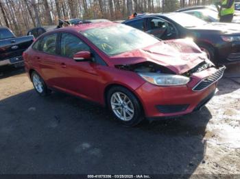  Salvage Ford Focus