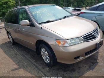  Salvage Honda Odyssey
