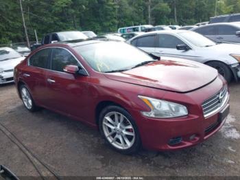  Salvage Nissan Maxima