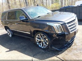  Salvage Cadillac Escalade