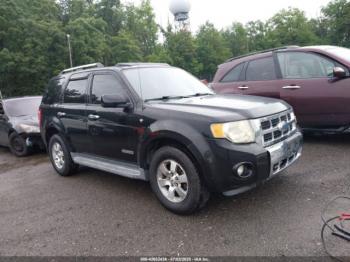  Salvage Ford Escape