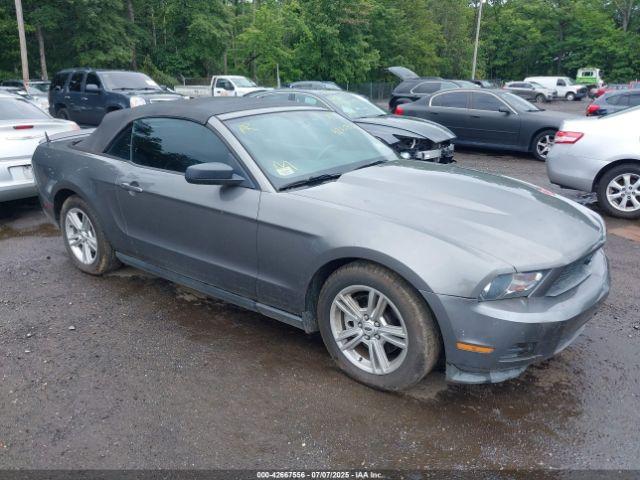 Salvage Ford Mustang