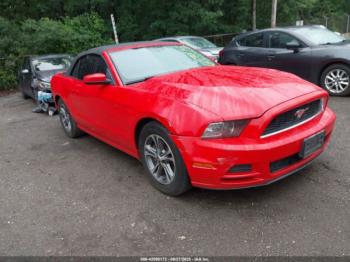  Salvage Ford Mustang
