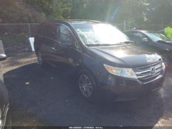  Salvage Honda Odyssey