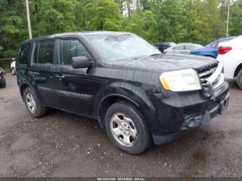  Salvage Honda Pilot