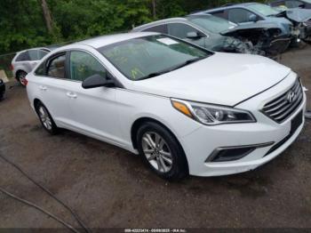  Salvage Hyundai SONATA