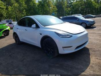  Salvage Tesla Model Y
