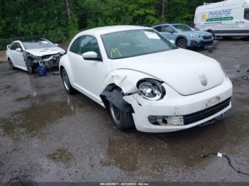  Salvage Volkswagen Beetle