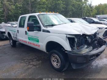  Salvage Ford F-250