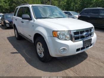  Salvage Ford Escape