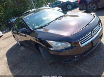  Salvage Nissan Maxima